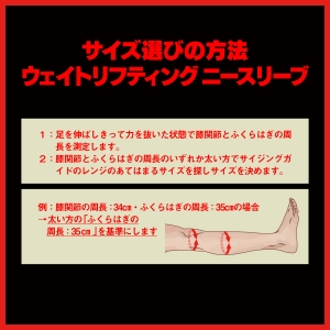 Phoenix ウェイトリフティングニースリーブ