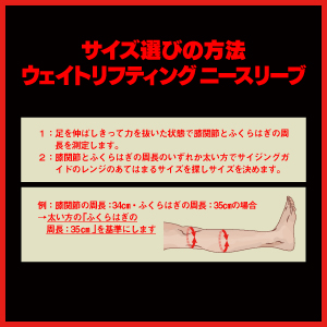 Endure ウェイトリフティングニースリーブ