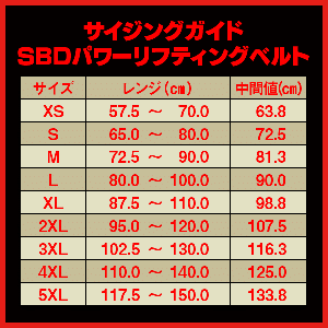 パワーリフティングベルト10mm(試着用)